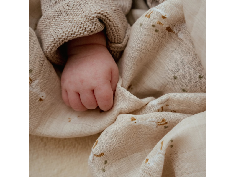 Plena zavinovací 120x120 cm Husa Newborn Naturals
